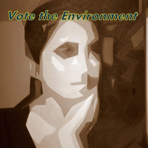 Reflecting Life Vote the Environment by Laura Hendrix