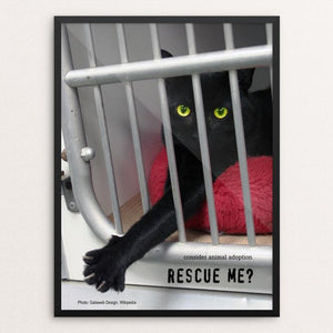 Rescue Me? by Vivian Chang