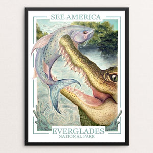 See America - Everglades National Park by Skylar Francis