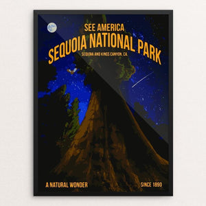 Sequoia National Park by Carlos Davila