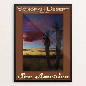 Sonoran Desert by Sheri Emerson