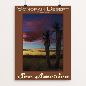 Sonoran Desert by Sheri Emerson