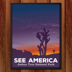 Sunset, Joshua Tree National Park by Victor Moreno