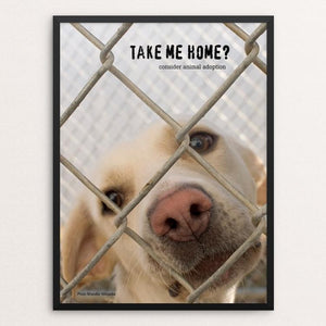 Take Me Home? by Vivian Chang