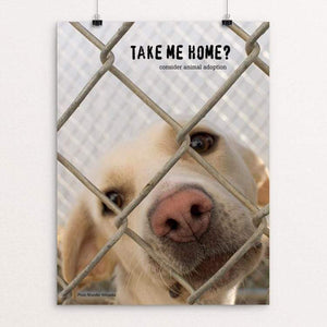 Take Me Home? by Vivian Chang
