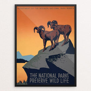 The National Parks Preserve Wild Life by J. Hirt
