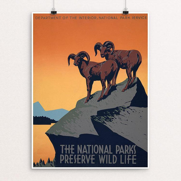 The National Parks Preserve Wild Life by J. Hirt