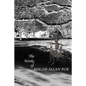 The Works of Edgar Allan Poe 3 by Nichole Diaz