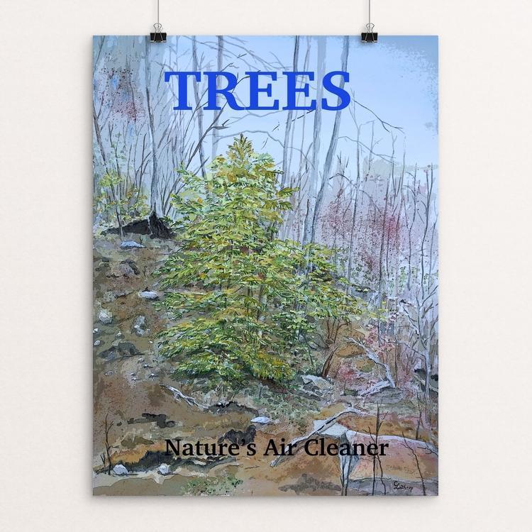 Trees Contribute to the Environment by Christine Lathrop