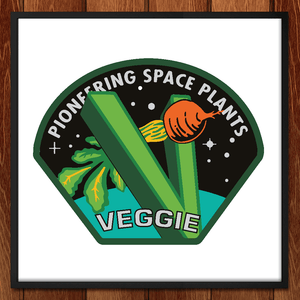 VEGGIE Vegetable Production System by Joe Wirtheim