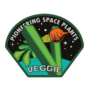 VEGGIE Vegetable Production System by Joe Wirtheim