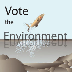 Vote for the Fish by Lyla Paakkanen