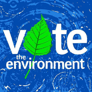 Vote the Environment by Brixton Doyle