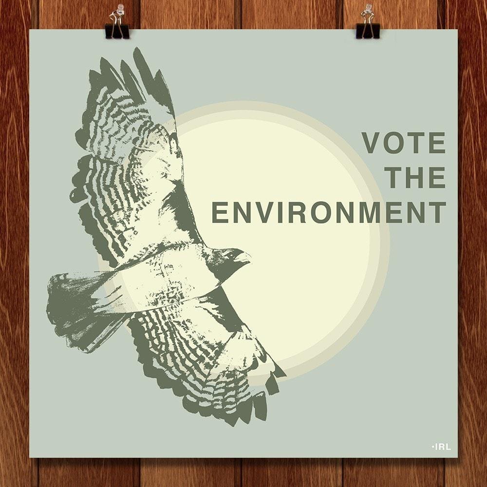Vote the Environment by Robin Lazzara