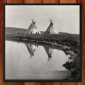 Vote the Environment by Roger Gottlieb