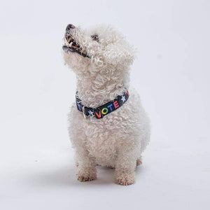 Vote With Pride Dog Collar by Susanne Lamb Pet Accessories Creative Action Network