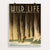 Wild Life - The National Parks Preserve All Life. by Frank S. Nicholson