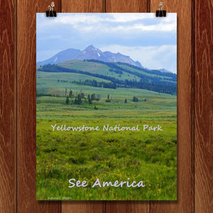 Yellowstone National Park 2 by Anthony Chiffolo