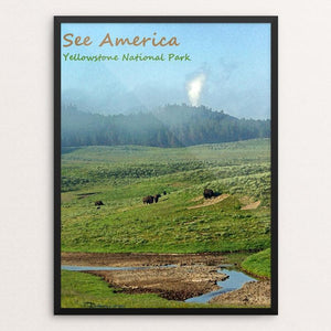 Yellowstone National Park 6 by Anthony Chiffolo