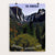 Yosemite National Park 2 by Bryan Bromstrup