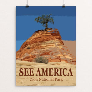 Zion National Park by Bill Vitiello